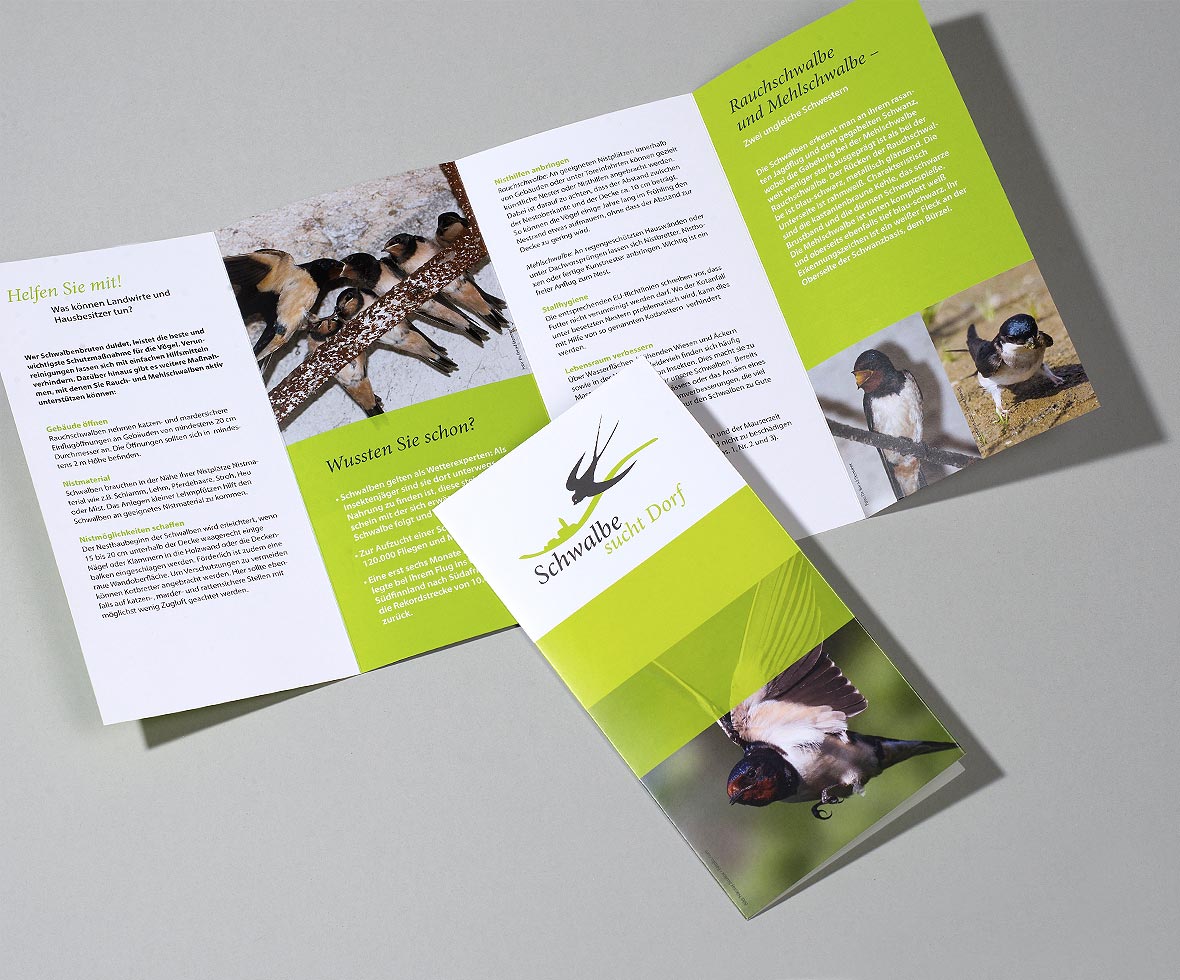 Printdesign: Flyer mit landwirtschaftlichen Informationen